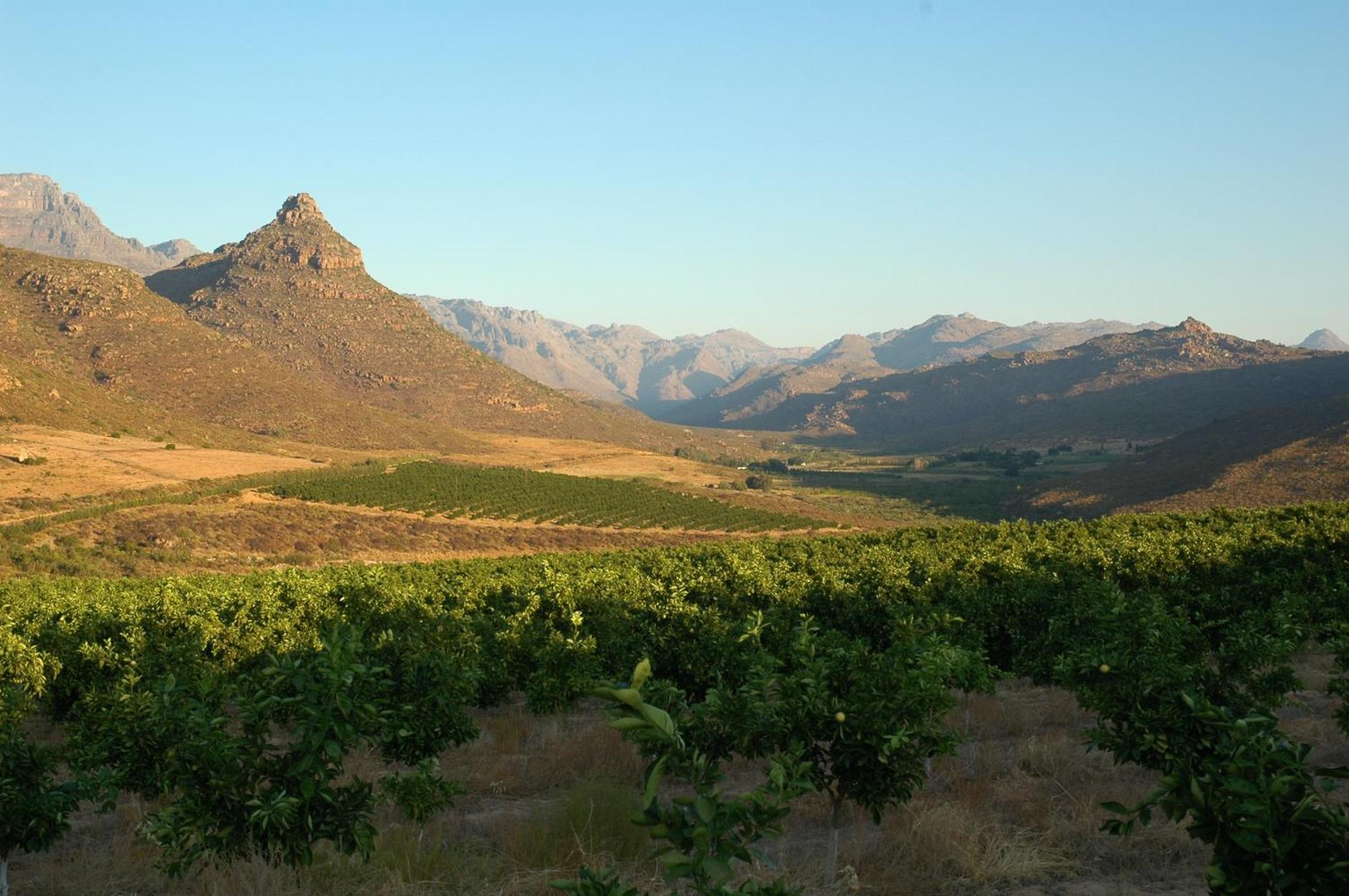 Klein Boschkloof Chalets Clanwilliam Exterior foto
